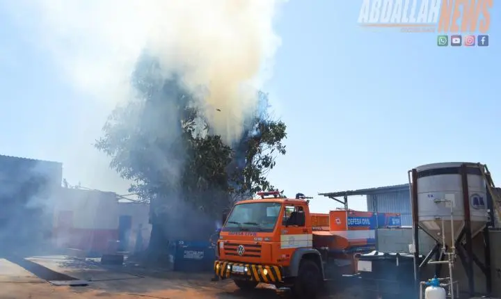 Fogo atinge árvore de grande porte no centro de Iporã e mobiliza Defesa Civil