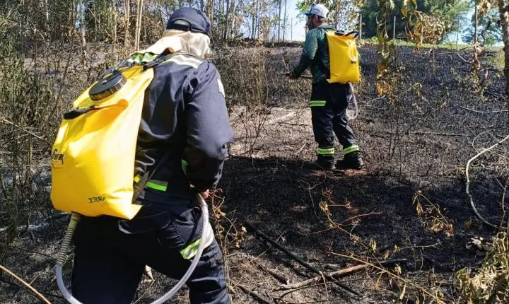 Fogo em lixo sai do controle e provoca incêndio em área de mata próxima a reserva ambiental
