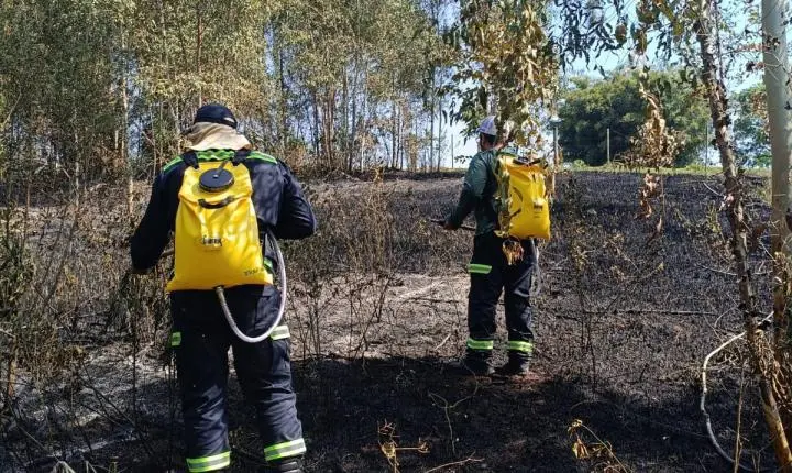 Fogo em lixo sai do controle e provoca incêndio em área de mata próxima a reserva ambiental