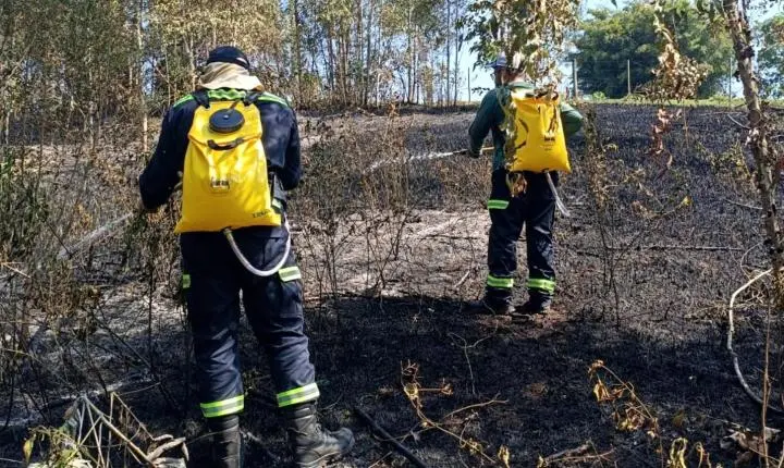 Fogo em lixo sai do controle e provoca incêndio em área de mata próxima a reserva ambiental
