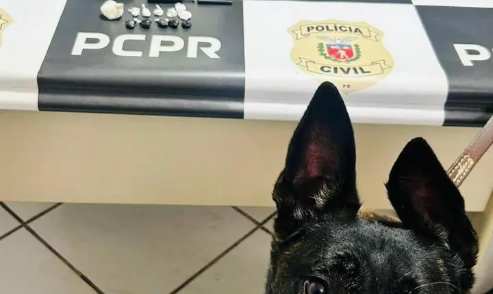 Homem é preso durante cumprimento de mandado após polícia localizar drogas em Alto Piquiri