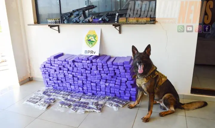 Mais de 100 kg de drogas e armas de grosso calibre são apreendidos durante ação policial na rodovia de Iporã