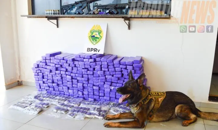 Mais de 100 kg de drogas e armas de grosso calibre são apreendidos durante ação policial na rodovia de Iporã