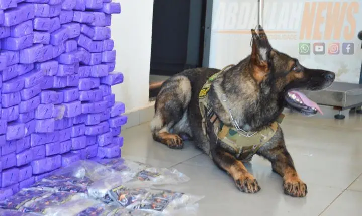 Mais de 100 kg de drogas e armas de grosso calibre são apreendidos durante ação policial na rodovia de Iporã