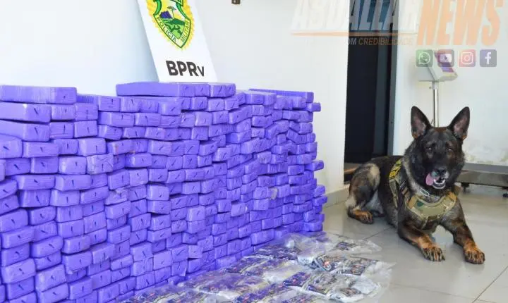 Mais de 100 kg de drogas e armas de grosso calibre são apreendidos durante ação policial na rodovia de Iporã