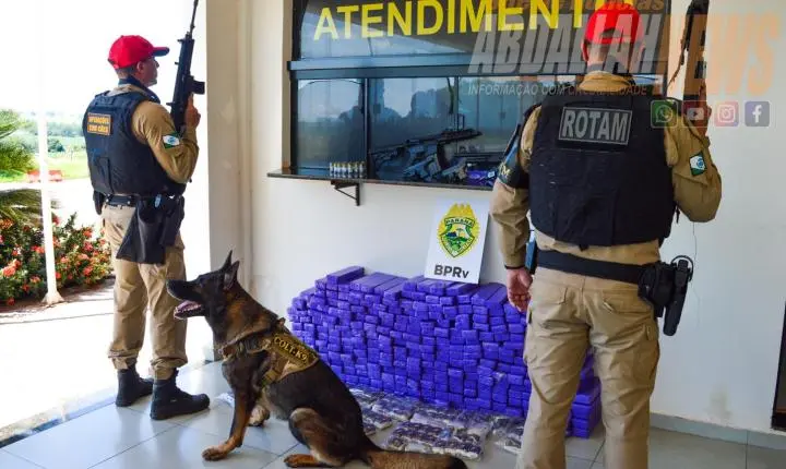 Mais de 100 kg de drogas e armas de grosso calibre são apreendidos durante ação policial na rodovia de Iporã