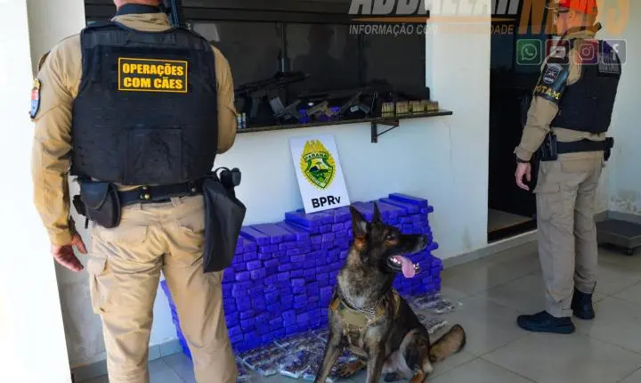 Mais de 100 kg de drogas e armas de grosso calibre são apreendidos durante ação policial na rodovia de Iporã