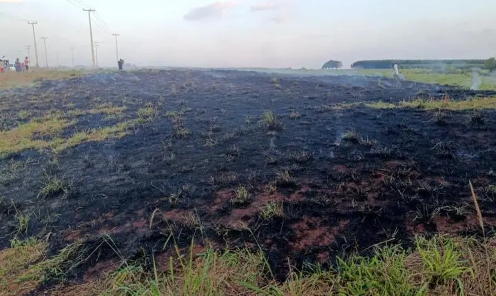 Mais uma queimada acende o alerta: colocar fogo pode sair caro e colocar vidas em risco