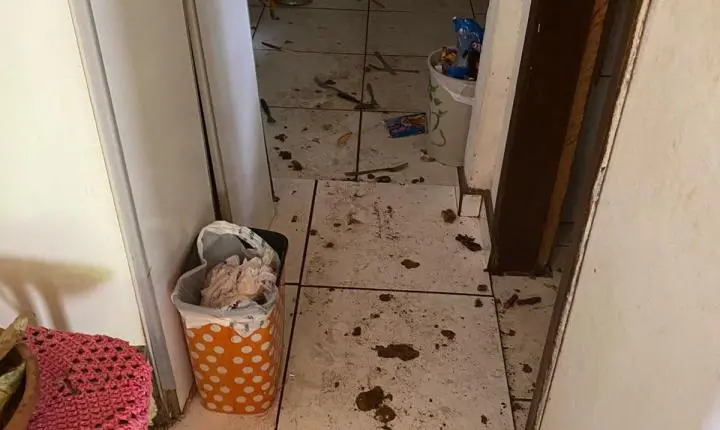 Moradora é encaminhada à delegacia após animais serem encontrados em condições precárias dentro de residência