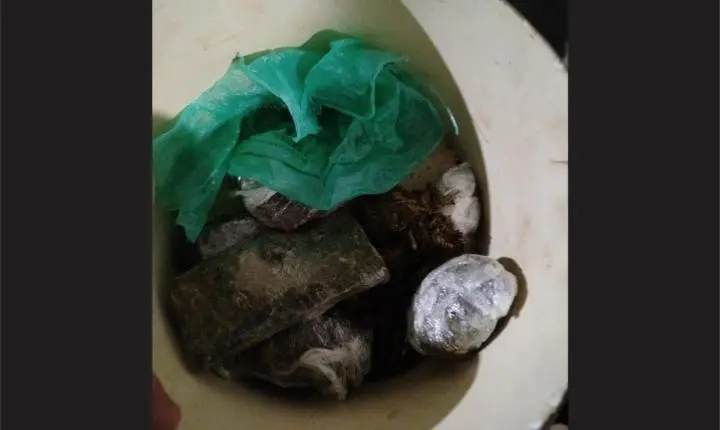 Operação Cascata apreende droga e motocicleta com sinais adulterados em Perobal