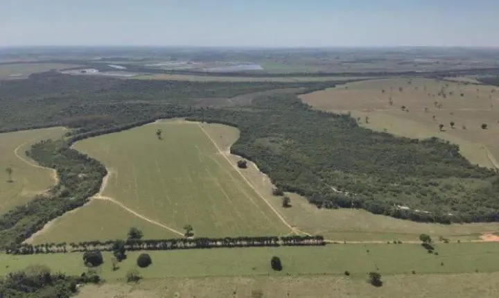 Polícia Ambiental embarga fazenda onde foram achados os corpos de cobradores em Icaraíma e aplica multa de R$ 7,5 milhões