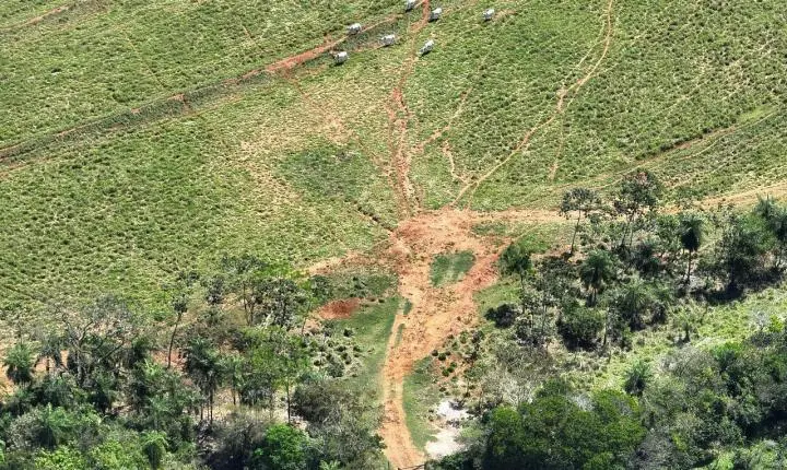 Polícia Ambiental embarga fazenda onde foram achados os corpos de cobradores em Icaraíma e aplica multa de R$ 7,5 milhões