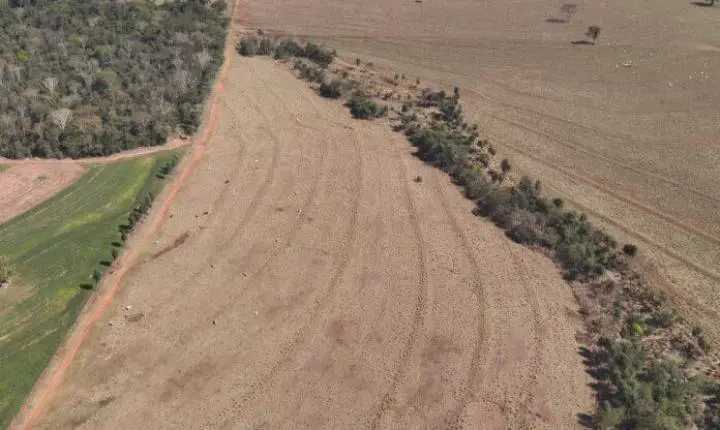Polícia Ambiental embarga fazenda onde foram achados os corpos de cobradores em Icaraíma e aplica multa de R$ 7,5 milhões