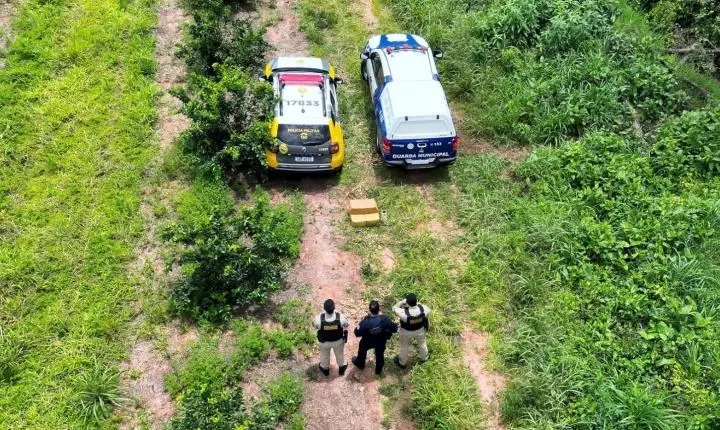 Polícia Militar e Guarda Municipal apreendem 75 quilos de maconha na zona rural de Altônia