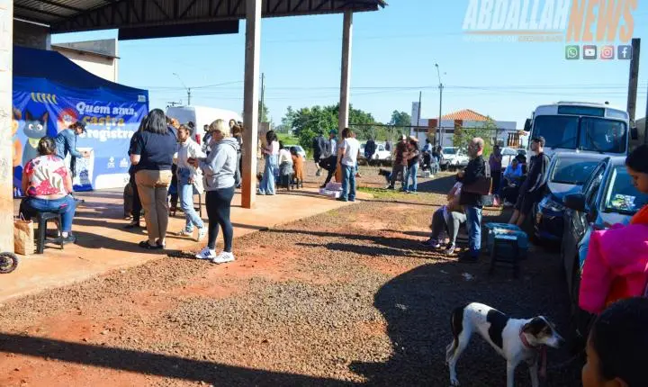 Projeto Castra Mais Paraná II realiza 200 castrações gratuitas e reforça combate ao abandono animal em Iporã