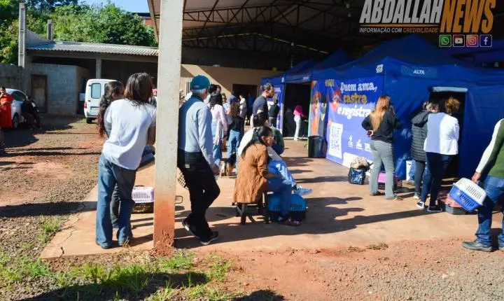 Projeto Castra Mais Paraná II realiza 200 castrações gratuitas e reforça combate ao abandono animal em Iporã