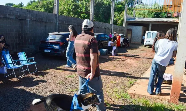Projeto Castra Mais Paraná II realiza 200 castrações gratuitas e reforça combate ao abandono animal em Iporã