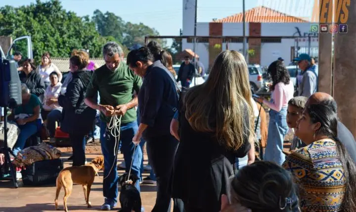 Projeto Castra Mais Paraná II realiza 200 castrações gratuitas e reforça combate ao abandono animal em Iporã