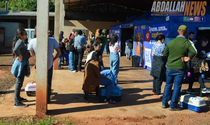 Projeto Castra Mais Paraná II realiza 200 castrações gratuitas e reforça combate ao abandono animal em Iporã
