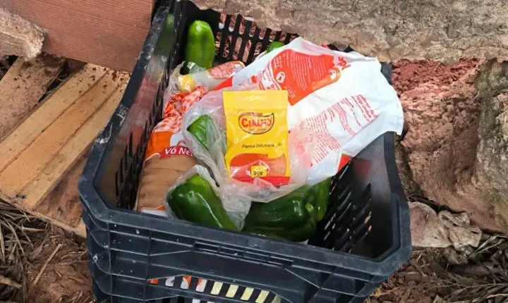 Suspeito tenta furtar alimentos de escola estadual, mas foge antes da chegada da PM em Iporã