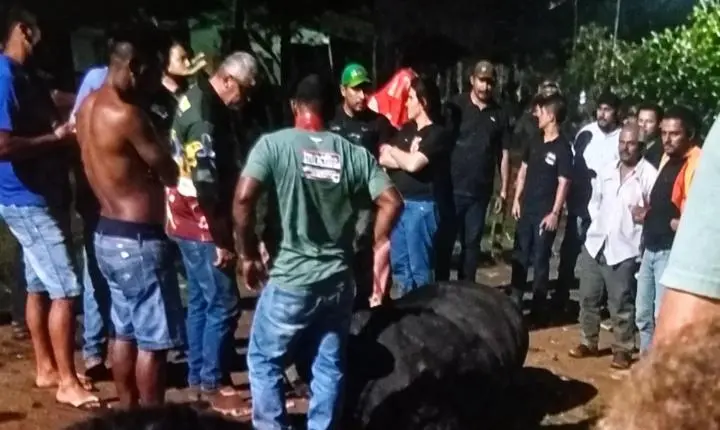 Touro escapa durante festa, invade ruas e mata idosa de 78 anos no Paraná