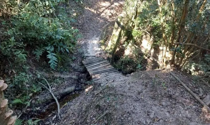 Trilha de motocicletas degrada vegetação nativa e afeta área de preservação permanente